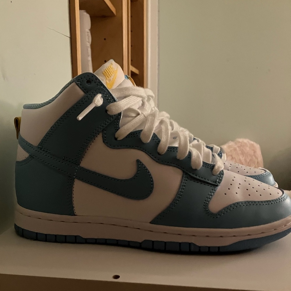 Nike Dunk Hightops View 5